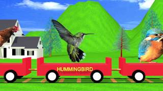 Bird Train Easy Learning for Kids  HD Animation [upl. by Mlehliw]