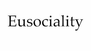 How to Pronounce Eusociality [upl. by Mannuela]