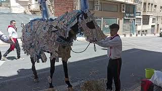 fiestas Caravaca de la cruz caballos del vino 2520241 [upl. by Ylekalb269]