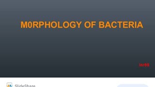 EUBACTERIA MORPHOLOGY PART I [upl. by Kurtz678]