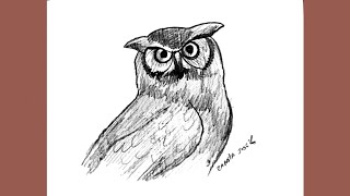 How to draw an owl [upl. by Atnad666]