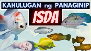 🐟 Kahulugan ng PANAGINIP na ISDA  Ano ang IBIG SABIHIN nanaginip ng ISDA sa tubig etc  DREAMS [upl. by Binnings]