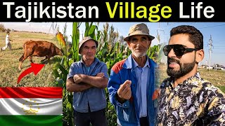 Local Village life in Tajikistan  Tajikistan Russian Village Life  Dushanbe Vlog [upl. by Thrasher]