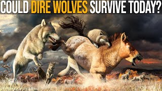 Ark Basics Dire Wolf  EVERYTHING YOU NEED TO KNOW [upl. by Elisabeth631]