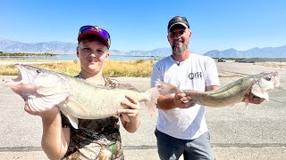 Summer Walleye Fishing [upl. by Alol]