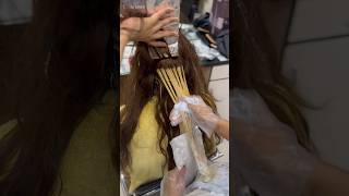 Beautiful Hair Highlights hair haircolor youtubeshorts shorts trending viralvideo [upl. by Connie731]