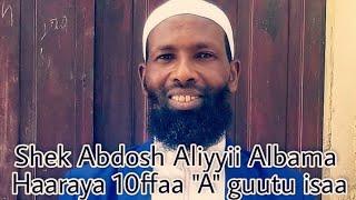 Shek Abdosh Aliyyii Albama Haaraya 10ffaa quotAquot guutu isaa [upl. by Kape947]