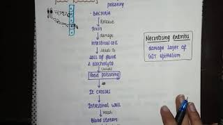 CLOSTRIDIUM PERFRINGENS PART 3 PATHOGENESIS  RESISTIVITYGAS GANGRENE FOOD POISONING [upl. by Antons209]