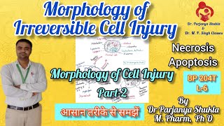 Morphology of Irreversible Cell Injury Cell Injury  Necrosis Apoptosis  Pathophysiology BP 204T [upl. by Notnel71]