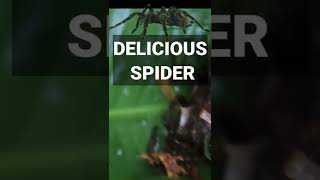 Bizzare Food  Eat Spider Challenge  Eat Bizarre Food [upl. by Emiline]