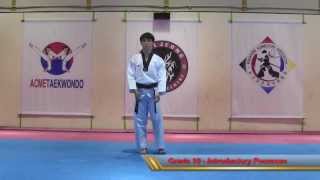 Introductory Poomsae Grade 10 [upl. by Ijan]