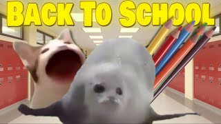 Bouncing Seals Back To School [upl. by Clarance]