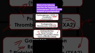 Describe the functions of cyclooxygenase1 COX1 in the formation of prostaglandins [upl. by Eus682]