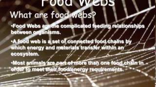 Food Chains Food Webs and Energy Pyramids by Peter [upl. by Rennug]