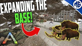 EXPANDING THE BASE AND WORKING ON BOSS DINOS 5 man Ragnarok PvP  Ark Survival Evolved [upl. by Cicenia230]