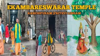 3500 YEAR 0LD MANGO TREE EKAMBARESWARAR TEMPLE PRITHVI LINGAM TEMPLE [upl. by Marlo]