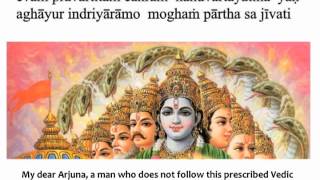 Bhagavad Gita Chapter 3  Verse 16 [upl. by Ettelloc]