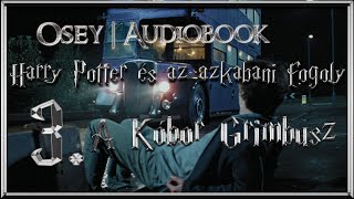 Harry Potter és az azkabani fogoly hangoskönyv remake  3 fejezet [upl. by Adnamma]