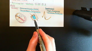 Cardiac Arrhythmias Part 6 [upl. by Dorris]