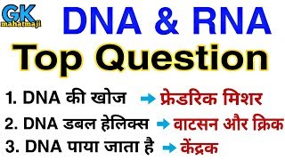 DNA amp RNA Top Question  Biology gk Question  RRB JE SSC [upl. by Yerg680]