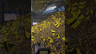 Ultras do Borrussia Dormet da Alemanha Ultras del Dormet🇩🇪☠️🎥BVB [upl. by Varrian339]