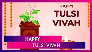 Tulsi Vivah 2024 Wishes Greetings Messages And Quotes To Celebrate The Auspicious Festival [upl. by Eimiaj524]