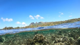 Anahola beach snorkel exploration I find an eagle ray and neat rock formations East side Kauai [upl. by Arlina]