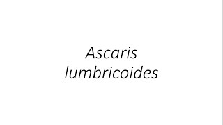 Ascaris lumbricoides  Parasitology [upl. by Sateia]