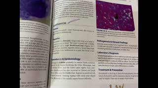 Mycology  Microbiology  Levinson [upl. by Aspa]