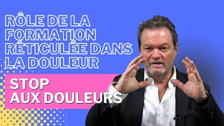 Stop aux douleurs  Role de la formation réticulée dans la douleur [upl. by Nauq]