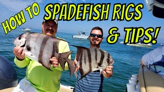 How to Spadefish Rigs and Tips Tutorial [upl. by Sachiko]