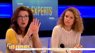 Les Experts  Karine Lalieux PS et Georges Dallemagne cdH  13012018 [upl. by Jaddo]