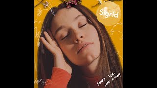 Sigrid  Don’t Feel Like Crying Instrumental [upl. by Nohsav]