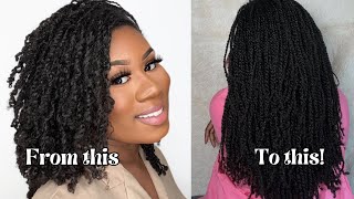 HOW MINI TWISTS GREW MY HAIR TO TAILBONE MY TOP HAIR GROWTH TIPS [upl. by Gorlicki259]