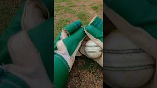 Wicket Keeper DIVING CATCH on Spinner😍🏏 shorts cricketcardio wicketkeeper [upl. by Hardej]