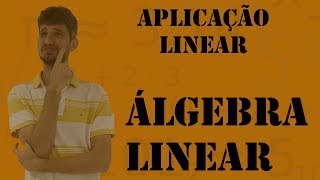 Introdução a Aplicação Linear e Matrizes [upl. by Adrien]