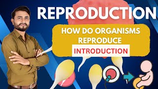 Introduction How Do Organism Reproduce Class 10  Class 10 Science Chapter 8  CBSE [upl. by Hulbert884]