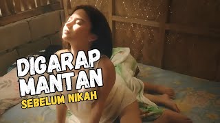 KEBUN LEBAT MILIK CALON ISTRI DIGARAP MANTANNYA  ALUR CERITA FILM [upl. by Aikemot]