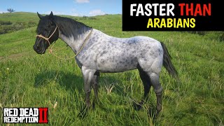 4 Horses faster than Arabains amp How to obtain them  Red Dead Redemption 2 [upl. by Laekim]