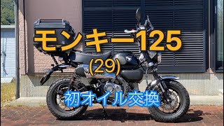 モンキー125、初オイル交換 [upl. by Eened848]