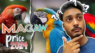 Macaw birds price in India 2024 🦜 Macaw birds baby price in India Macaw birds price update [upl. by Thordia]