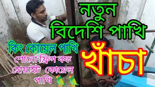 নতুন খাঁচা কি পাখির জন্য বানাইতাছি কিং কোয়েল পাখি কিং কোয়েল কোয়েলপাখি koelpakhipalon koel [upl. by Aitsirt465]