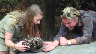 Bindi takes Derek on a tour of Australia Zoo [upl. by Souvaine]