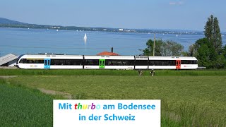 Schweiz Altnau Bodensee Thurbo🔃entlang am Bodensee mit Stadler FLIRT SBB RABe523 [upl. by Niram]