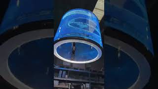 Cylinder Flexible LED Display [upl. by Janette]