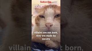 villains are not born they are made by society cat like subscribe love [upl. by Panaggio]