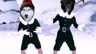 Mishka the Talking Husky and Moki Elf Yourself [upl. by Zeena]