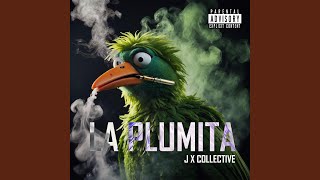 LA PLUMITA [upl. by Outhe]