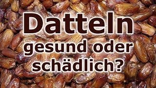 Datteln die leckere Süßigkeit aus der Wüste  wirklich so gesund Rohkost Vegan [upl. by Iliak113]