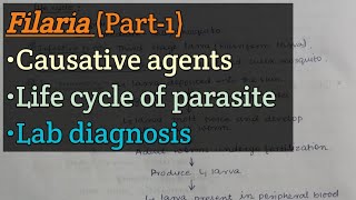 Filaria Part1  Causative parasites  Life cycle of parasite  Lab diagnosis [upl. by Eiznik350]